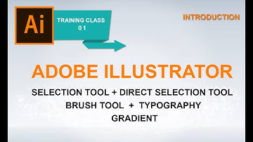 Adobe Illustrator Training Class 1 - Introduction +direct selection+brush  Urdu / Hindi