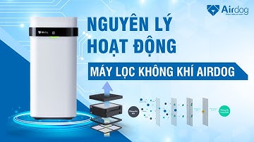 Nguyên Lý Hoạt Động của máy lọc không khí Airdog, Công Nghệ TPA sử dụng Trọn Đời không phải thay thế