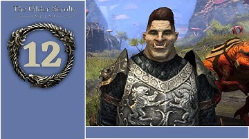 The Elder Scrolls Online Daggerfall Covenant Playthrough Part 12  - Red Rook Bandits