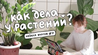 цветочное обновление и итоги недели влогов! неделя влогов, воскресенье