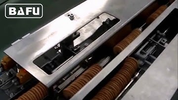 FWL280B On-Edge Biscuit Packaging Machine