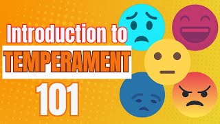 Why Are People So Different? | Intro to Temperament 101