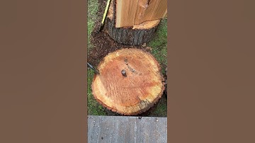 Splitting large round with a wedge.  #ASMR #satisfying #offgrid #homesteading