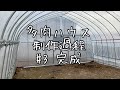 多肉置き場ビニールハウスを建てる#3