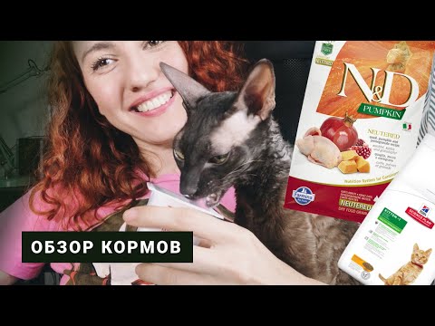 ЧЕМ КОРМИТЬ КОТА. Обзор кормов для кошек. Любимые растения кота