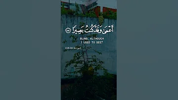 ومن أعرض عن ذكري فإن له معيشة ضنكا ونحشره يوم القيامة أعمى القارئ اسلام صبحى التفسير بالوصف 