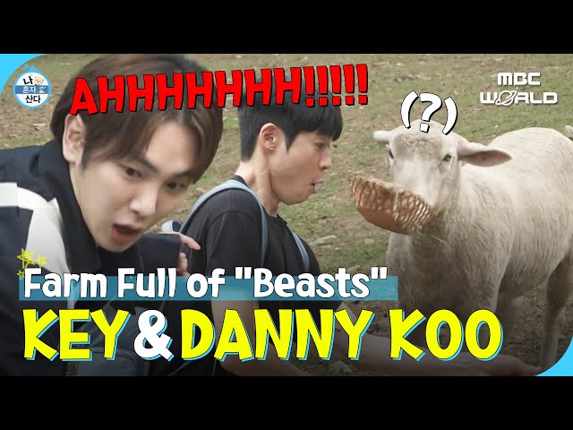 [ENG/JPN] KEY & DANNY's cute and scary animal adventure #KEY #DANNYKOO class=