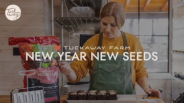 What is Soil Blocking? Soil Blocking Flowers For The 2024 Season