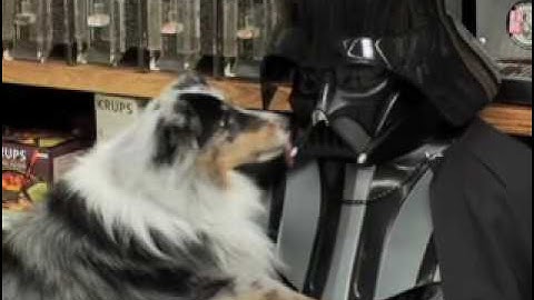 Chad Vader - The Music Video