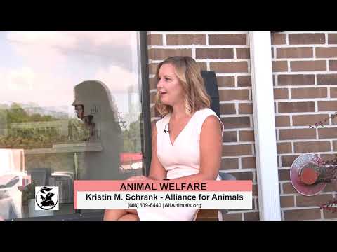 TVW | WISCONSIN WOMEN | Alliance for Animals | www.AllAnimals.org | (608) 509-6440 | 8-6-20