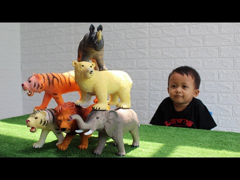 Hewan Liar - Belajar Nama dan Suara Binatang Buas - Animal Toys