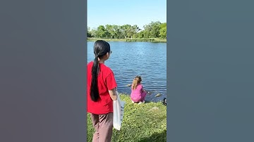 Nhân và quả về việc - Câu cá thú vui thanh nhàn