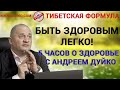 Быть здоровым ? Легко! Поможет вам Андрей Дуйко.  бады спортивное питание fls