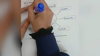 KUIZ SAINS TAHUN 3 : BAB 3