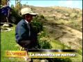 La grandeza de Nativo: pequeño gigante lucha en las alturas de Cajamarca