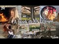 A WEEK IN MY LIFE IN COLLEGE~ friendsgiving, food, workouts, hauls