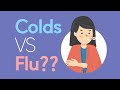 Flu  and Cold : Differences of symptoms and prevention