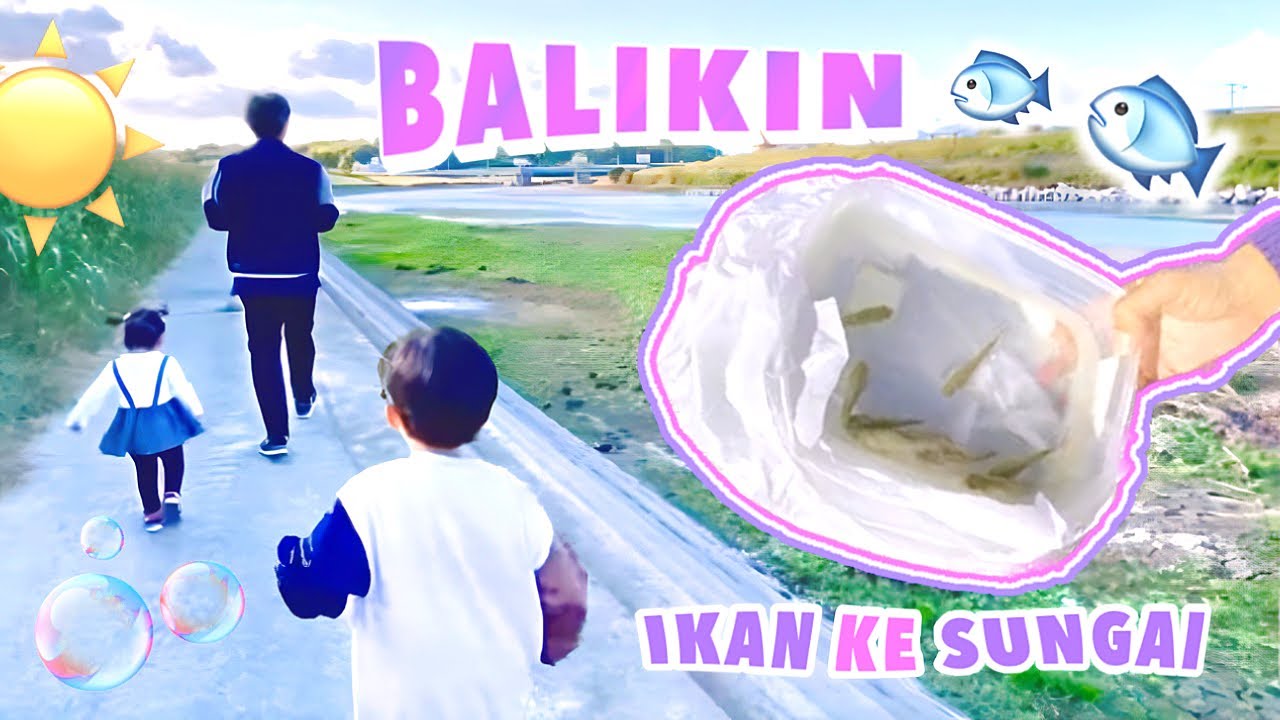 DIBALIKIN KE SUNGAI KEMBALI IKAN YANG KEMARIN DI TANGKAP BIAR HIDUP‼️