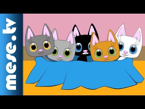 Videó: Szavak Egy Macskától: öt Ajándék, Hogy Elmondhasd Az Embernek, Hogy Törődsz Vele