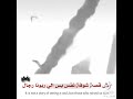يجبهت الكفري نحن الرجال