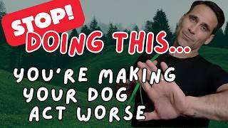 7 Dog Training Mistakes That RUIN Behavior (Avoid These!)