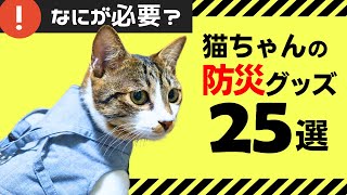 【チェックリストあり】猫の防災グッズ25選できれば備えたいグッズも紹介