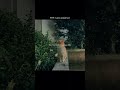 #peacefulmusic