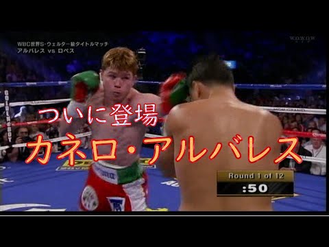 神回】WBC世界S.ウェルター級王者 カネロ・アルバレス vs. ホセシト