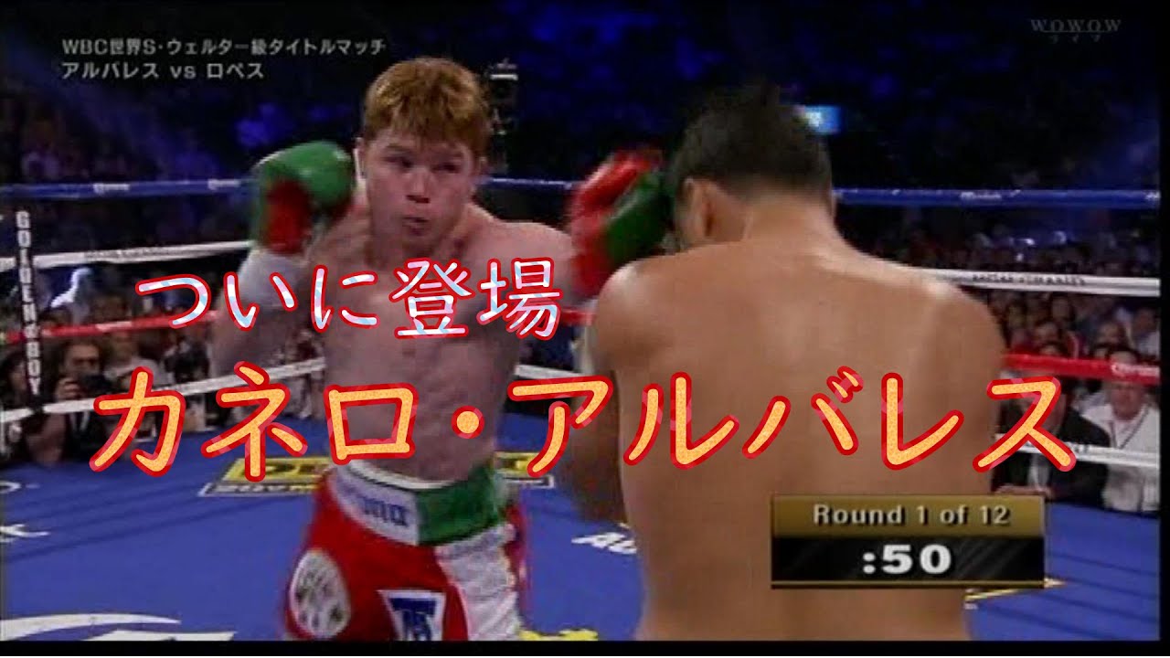 神回】WBC世界S.ウェルター級王者 カネロ・アルバレス vs. ホセシト