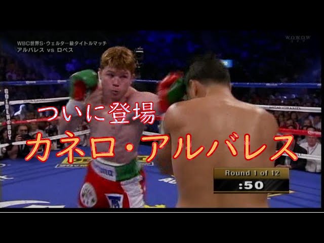 神回】WBC世界S.ウェルター級王者 カネロ・アルバレス vs. ホセシト