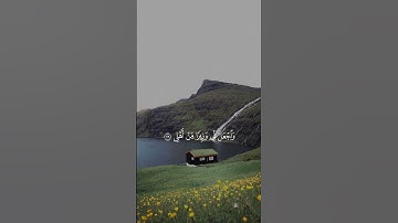 قال ربي اشرح لي صدري(سورة طه)بصوت القارئ شريف مصطفى#قرآن#قران_كريم #سورة_طه #شريف_مصطفى