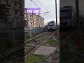 Leaning Into Pisa S Beauty Ytshorts Italytravel Leenaslifestyle 