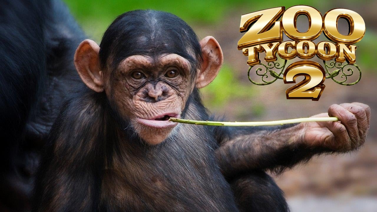 Zoo Tycoon 2 Chimp Island Exhibit! YouTube
