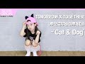 Na haeun  txt  catdog dance cover