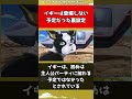 【ジョジョ】イギーは登場しない予定だった裏設定【ジョジョの奇妙な冒険】#shorts
