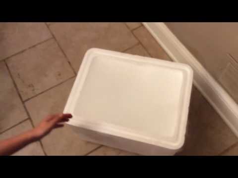5 Pounds Of