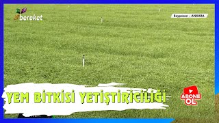 Tarımsal Eğitim - Reygras Yem Bitkisi Yetiştiriciliği