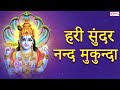 Hari Sundar Nand Mukunda - Beautiful Krishna Bhajan | Krishna Songs | हरि सुंदर नंद मुकुंदा