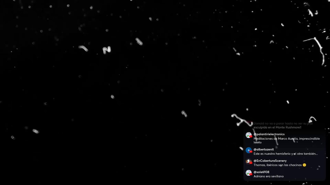 Informe Harrington 28/2/26