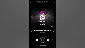 Rich The Kid feat. Dark Polo Gang - Plug Walk