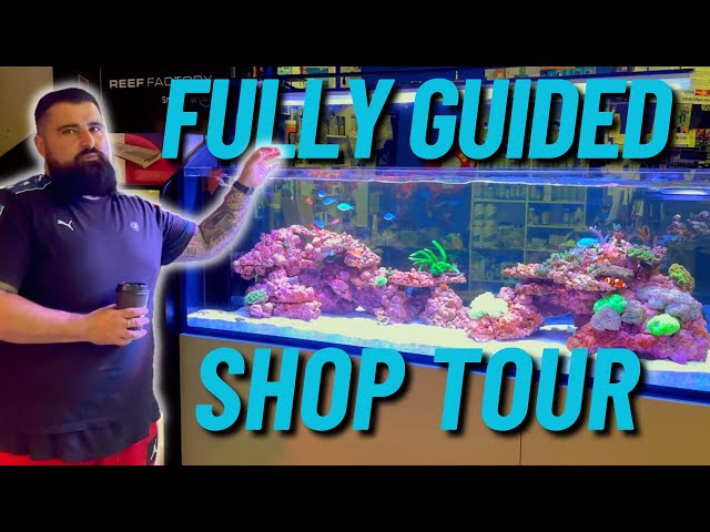 LFS Tour - Lifestyle Aquariums and Reptiles class=