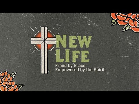 New Life: The Tale of Two Me's