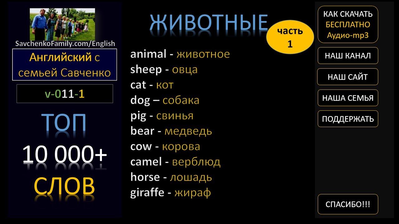 Топ английских игр. Топ-10000 популярных слов в английском языке. 10000 На английском.