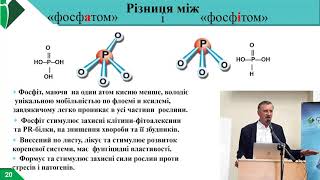 Третья часть семинара по питанию винограда 27.02.2021