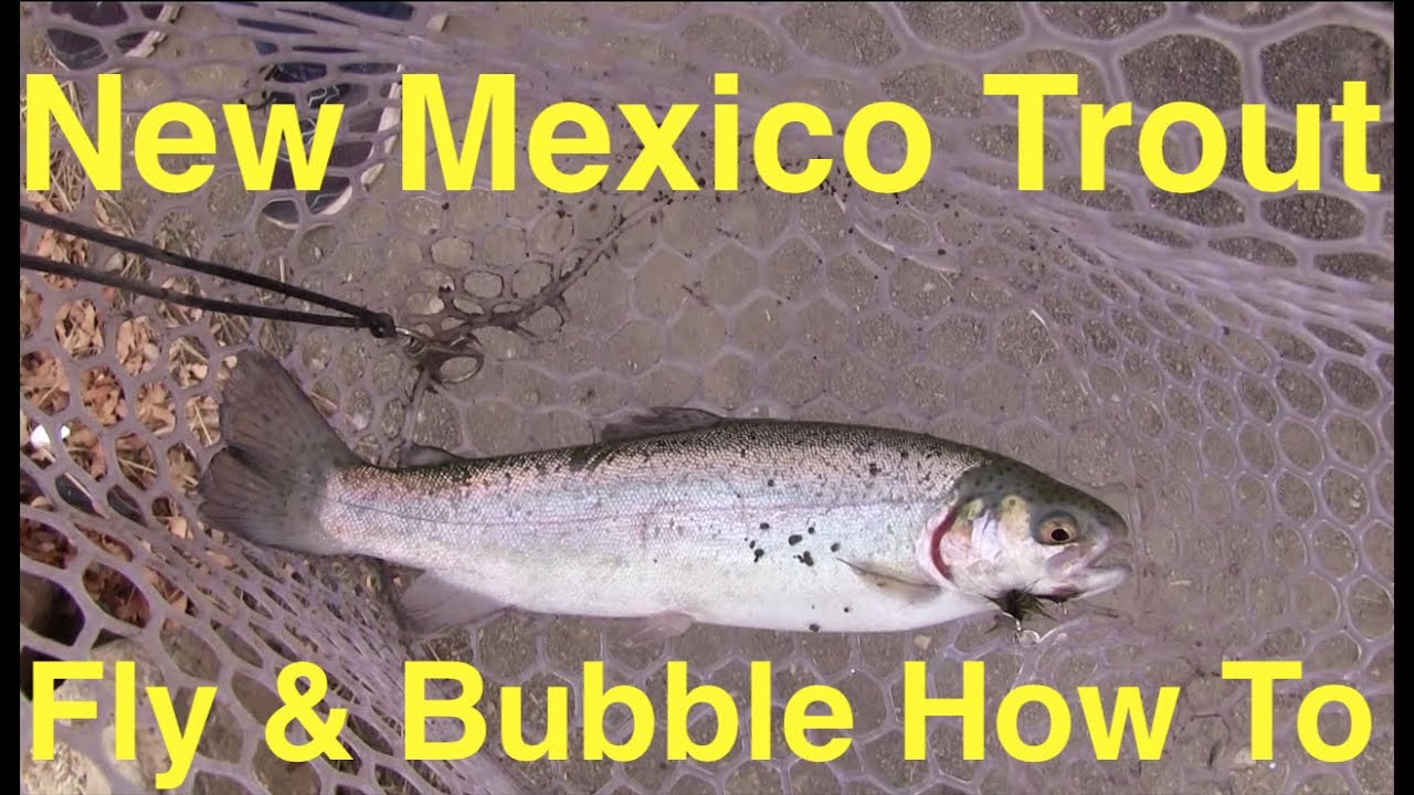 How to Catch New Mexico Trout with a Fly & Bubble Combo 