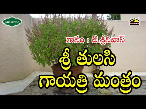 Sri Tulasi Gayatri mantram || Devotional Chanting || Musichouse27