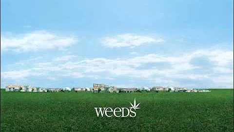 WEEDS   Wacky Tobacky NRBQ Soundtrack