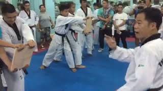 Woodboard Breaking Decks Tkd