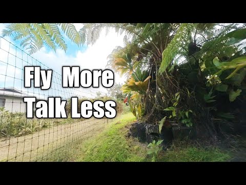 Flywoo Firefly Nano Hex | Finding Gaps During Lunch Time Flight