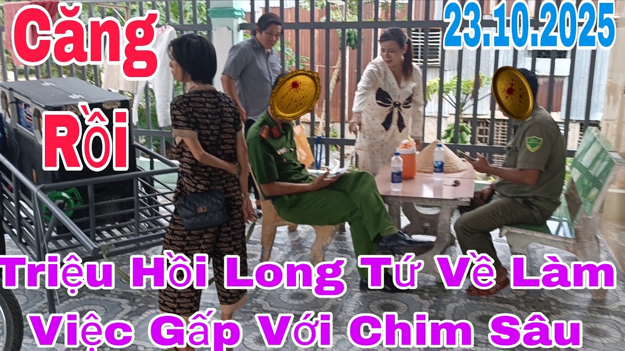 Quá Căng Chồng Chim Sâu Về Gặp Mặt CA Trực Tiếp #giadinh #thinhhanh #mientay #cuocsong 
